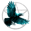 Teal Rabe im Geometriekreis