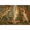 Geburt des Mushroom Crop Top