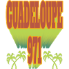 Guadeloupe 971 Kokospalme