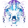 Blauer Lila-Wolkenleopard – Panther
