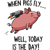 Schwein mit Rakete – Heute gehts los