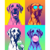 Hunde Deutsche Dogge Hund