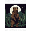 Bear Protect Parks