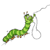 Hungry_Caterpillar