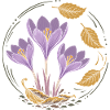 Herbstzeitlose - Herbst Krokus mit Laub