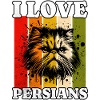 I Love Persian Cat