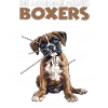 Boxer Hundebesitzer T | Deutscher Boxer | Hunde