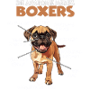 Boxer Hundebesitzer T Boxer Gassi Boxer