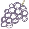 Lavendeltrauben-Cluster-Illustration