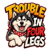 Alaskan Malamute
