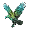 Röntgen Adler