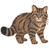 Europäische Wildkatze