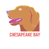 Chesapeake Bay Retriever