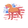 Chesapeake Bay Retriever