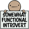 Somewhat Functional Introvert Spruch Logo Text