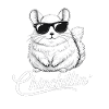 Chinchillin mit Sonnenbrille