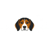Herzschlaghund Beagle