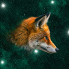 Fuchs im Sternenraum