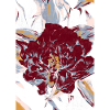 ROTE PFINGSTROSE