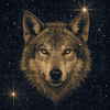 Wolf im Sternenmeer