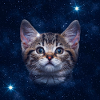 Katzenstern im Weltraum