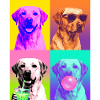 Hunde Labrador Hund
