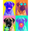 Hunde Mastiff Hund