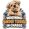 Warnung. Border Terrier im Kommando