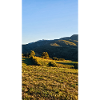 Golden Ridge Panorama