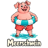 Meerschwein im Urlaub