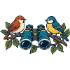 Vogelschau – Gemeinsam genau hinsehen