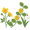 Naturfreunde · Blumen