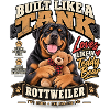 Tank Rottweiler Teddy Love