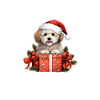 Weihnachtspudel-Welpen-Geschenkbox
