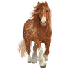Pferd Schnee