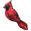 Roter Kardinal-Sketch