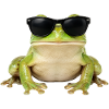 Cooler Frosch mit Sonnenbrille