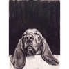 Sleeping Dog