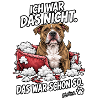 Hund im Kissenchaos
