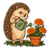Igel beim Gärtnern