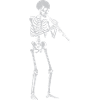 Skeleton spielt Oboe