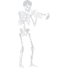 Skeleton spielt Trompete