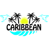 Sonnenhummingbird Neon Silhouette