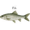 Fih – minimalistischer Fisch