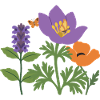 Mohn · Blumenstrauß · Gartenfreunde · Blumen
