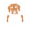 Rhodesian Ridgeback