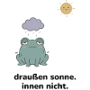 draußen sonne. innen nicht. – Frosch Meme