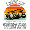 Lustige Norwegische Waldkatze