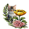 niedliche Katze 