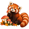 Roter Panda mit Waldpilzen